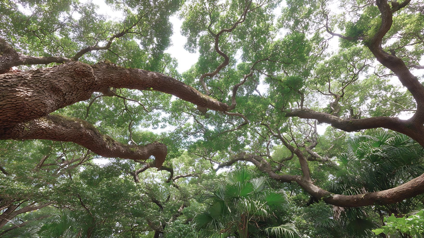 Southern Ridges Walk: A Photographer’s Paradise on One of The Hidden Places in Singapore