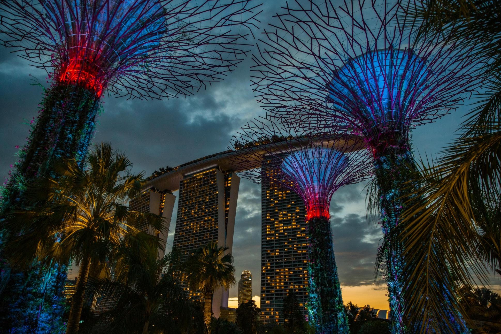 Weather-Sealed Singapore Cameras for Tropical Climate: What Really Works?