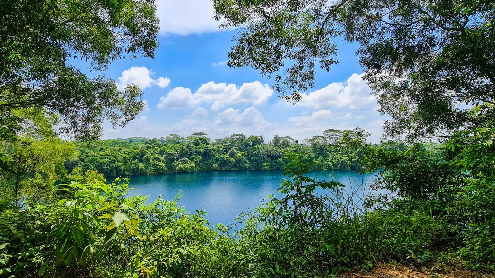 That Time I Got Lost in Pulau Ubin: A Misadventure Captured in Singapore Images