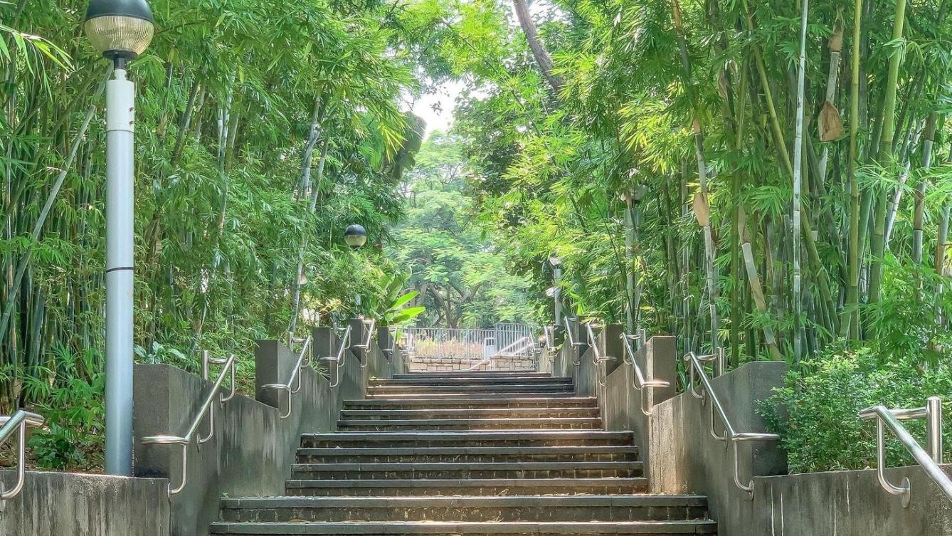 A wide stone staircase with silver handrails leads upward into a tunnel of tall, slender bamboo stalks. Modern spherical street lamps line the path, blending urban design with the surrounding natural greenery.