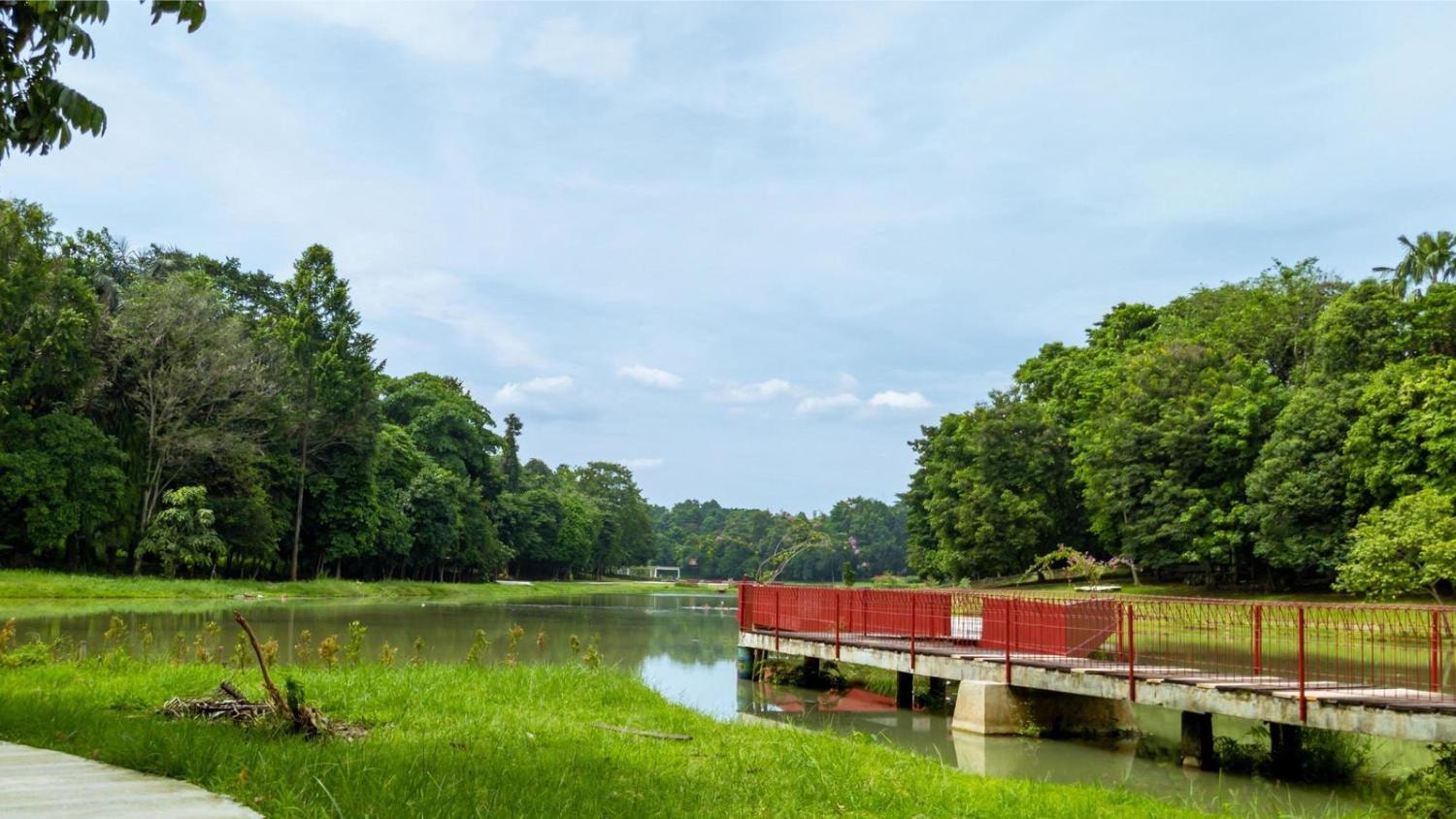 This landscape features a calm lake bordered by a dense, vibrant green forest under a clear sky. A prominent red bridge or pier extends into the water, providing a sharp color contrast against the natural greens and blues.