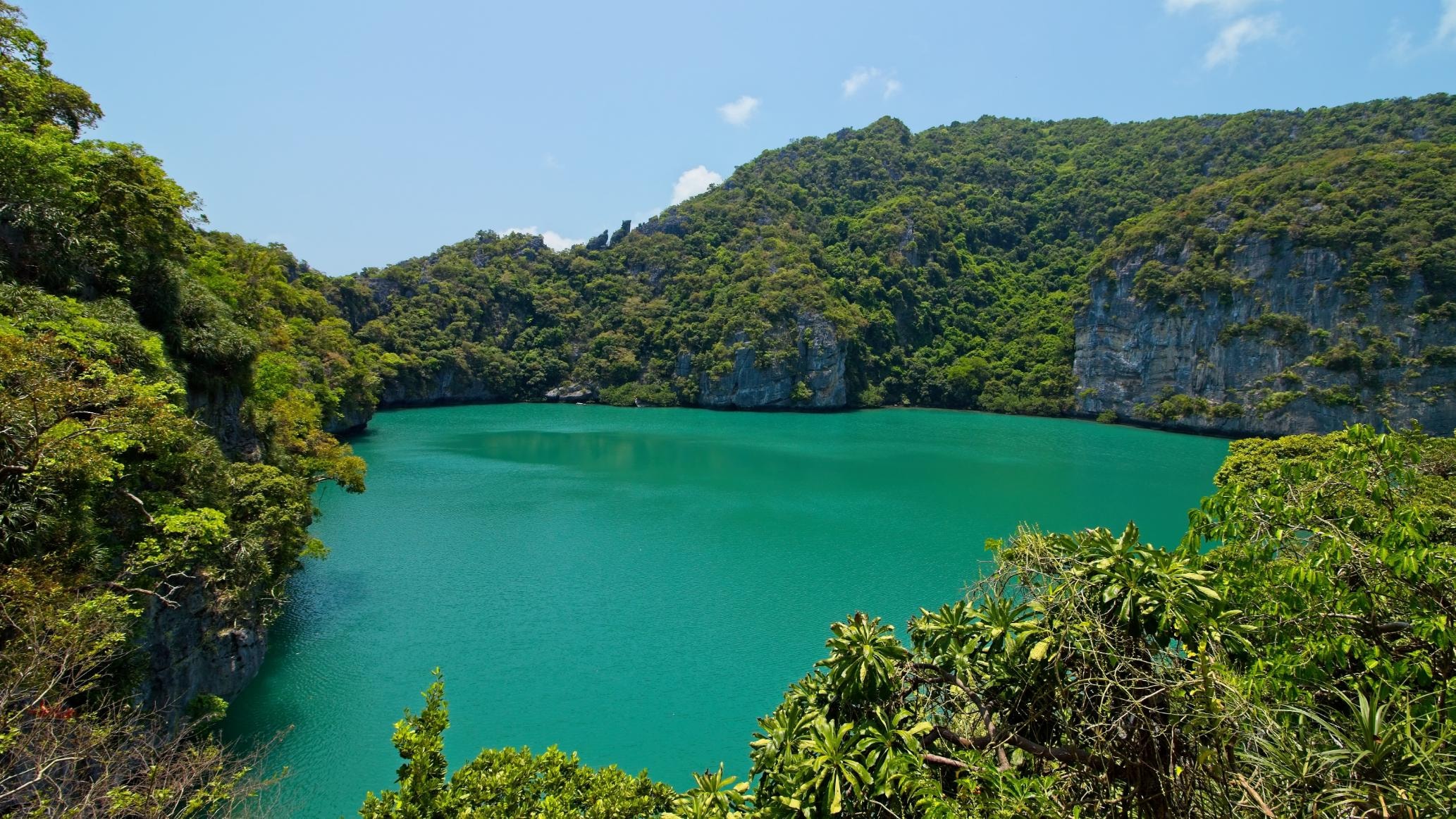  This high-angle shot captures a stunning, emerald-green lake nestled within a ring of towering, steep, jungle-covered limestone karsts. The vibrant color of the water contrasts dramatically with the deep green foliage and the pale cliffs under a clear blue sky.
