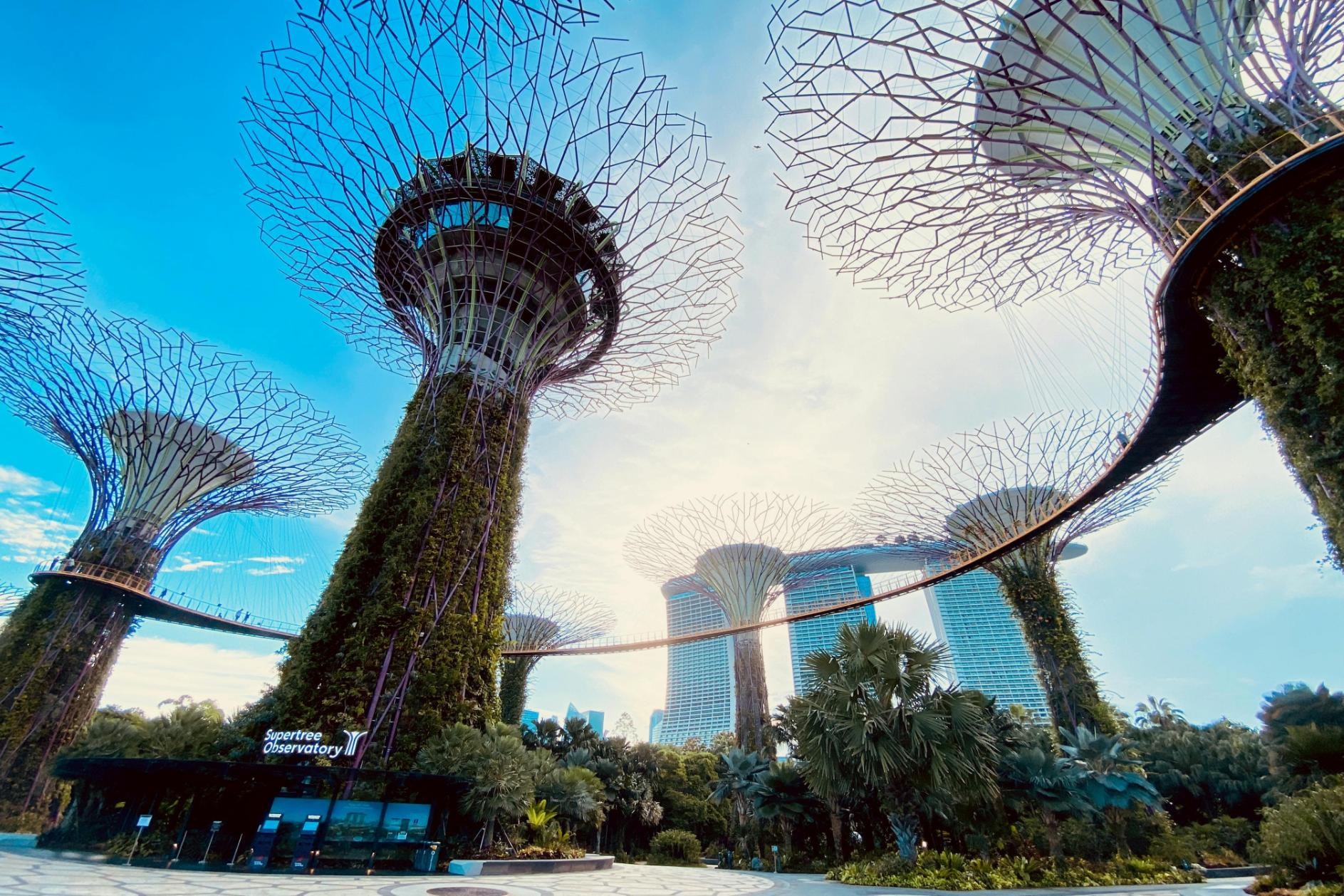 Singapore Photographs: The Art of Documenting Dying Trades