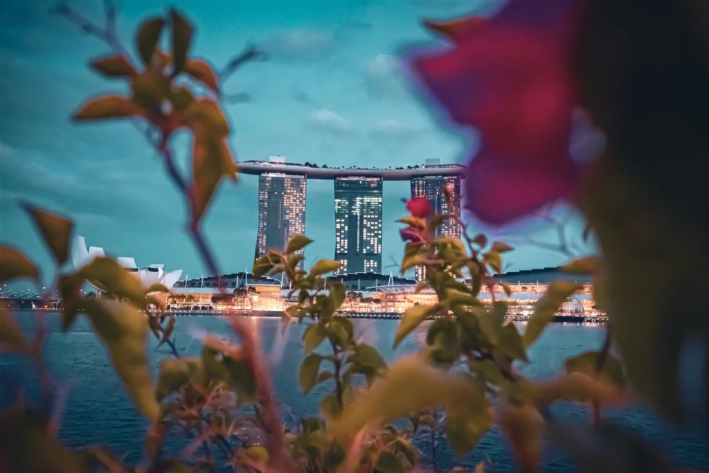 This image captures the Marina Bay Sands hotel in Singapore framed by soft, out-of-focus foliage and vibrant pink flowers in the foreground. The city skyline is illuminated against a deep teal twilight sky, reflecting a warm glow over the calm water below.