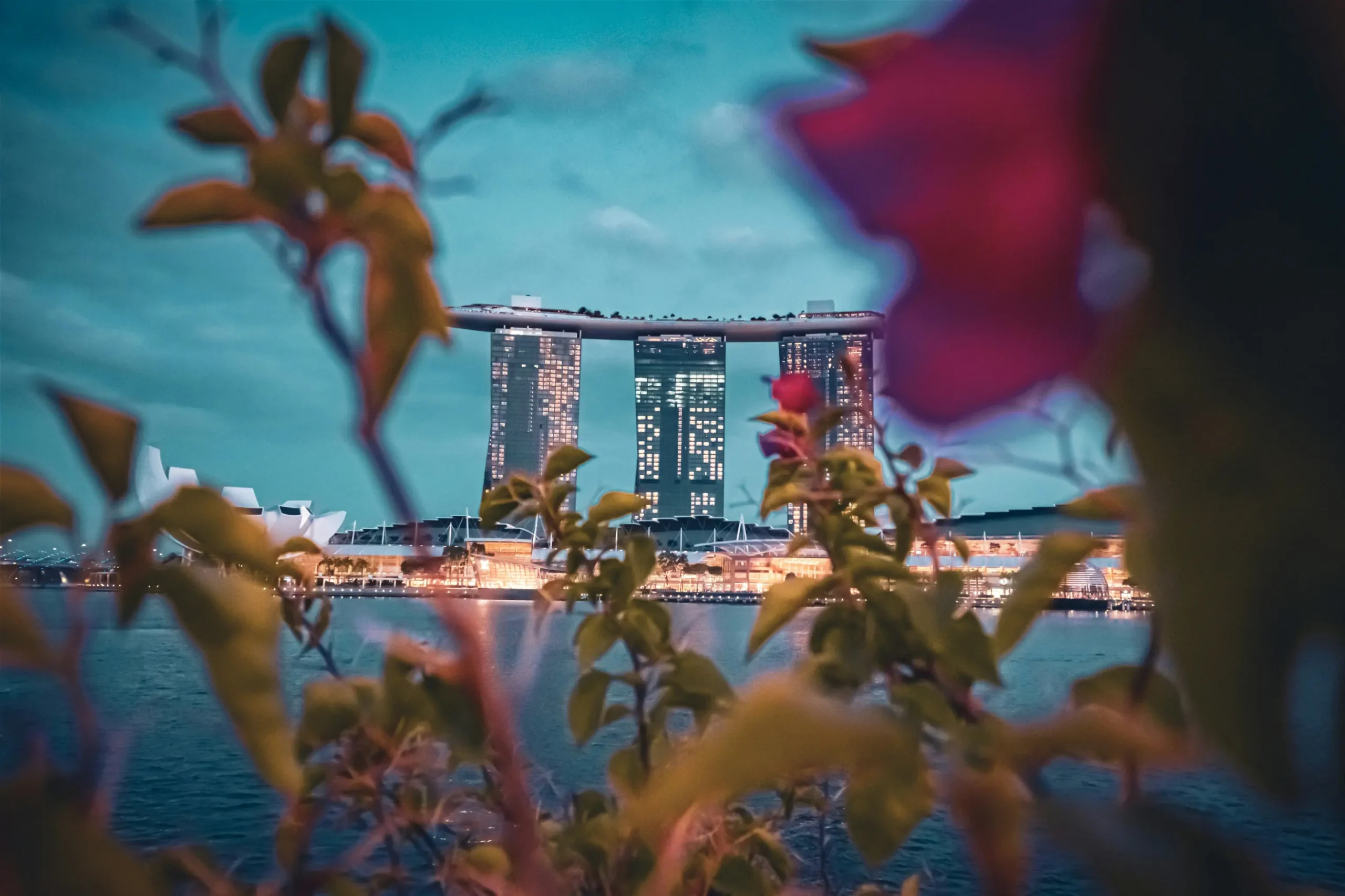 This image captures the Marina Bay Sands hotel in Singapore framed by soft, out-of-focus foliage and vibrant pink flowers in the foreground. The city skyline is illuminated against a deep teal twilight sky, reflecting a warm glow over the calm water below.