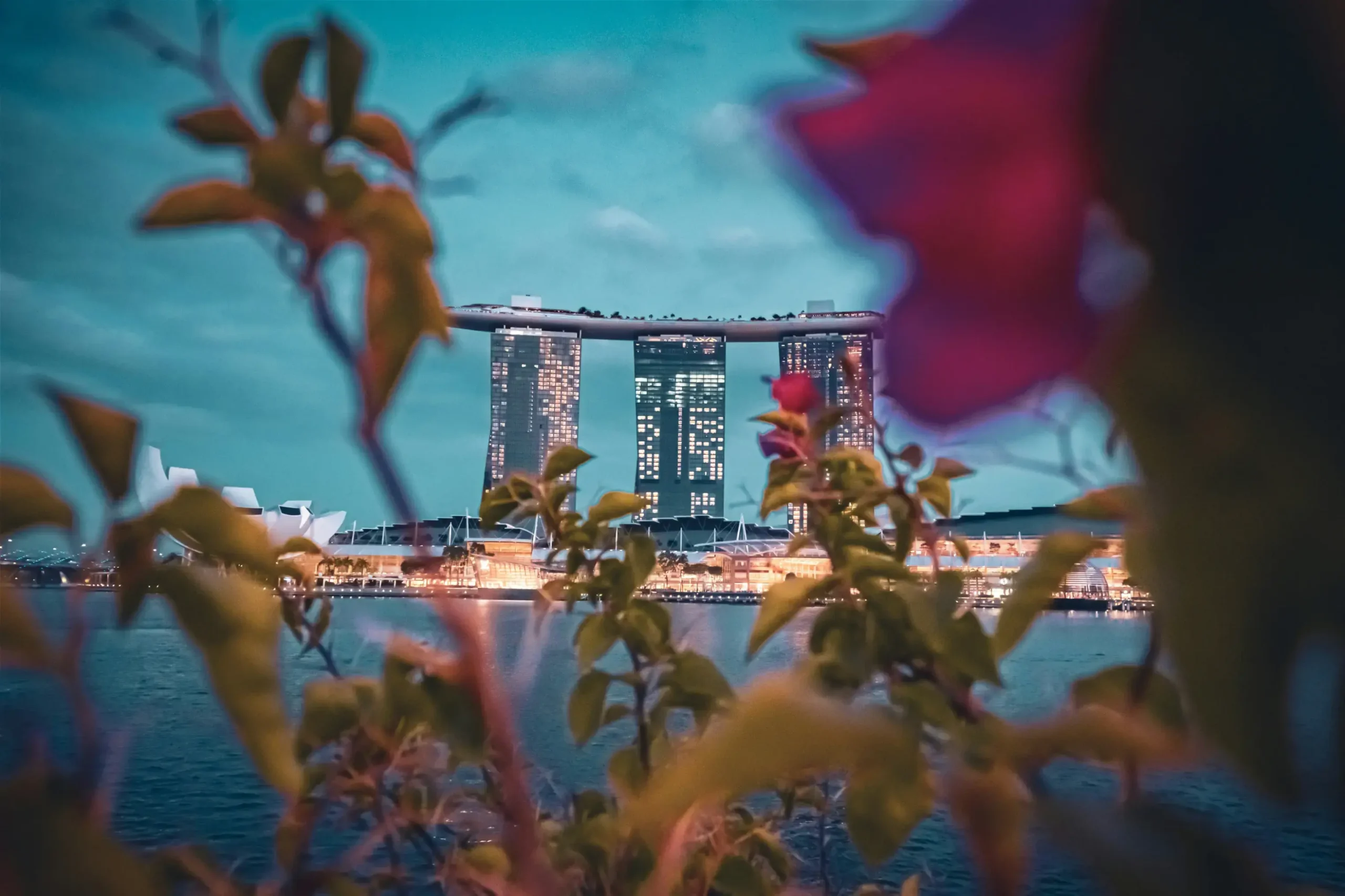 This image captures the Marina Bay Sands hotel in Singapore framed by soft, out-of-focus foliage and vibrant pink flowers in the foreground. The city skyline is illuminated against a deep teal twilight sky, reflecting a warm glow over the calm water below.