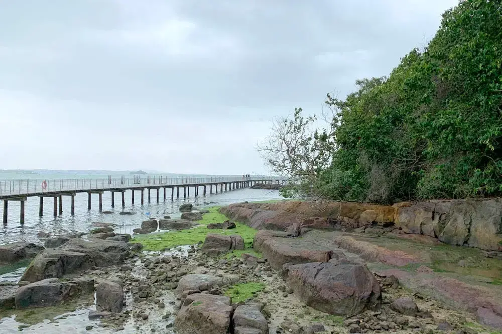 A long wooden boardwalk extends over the water alongside a rocky, moss-covered shoreline under an overcast sky. Dense green trees line the edge of the coast, contrasting with the scattered stones and calm sea in the foreground.