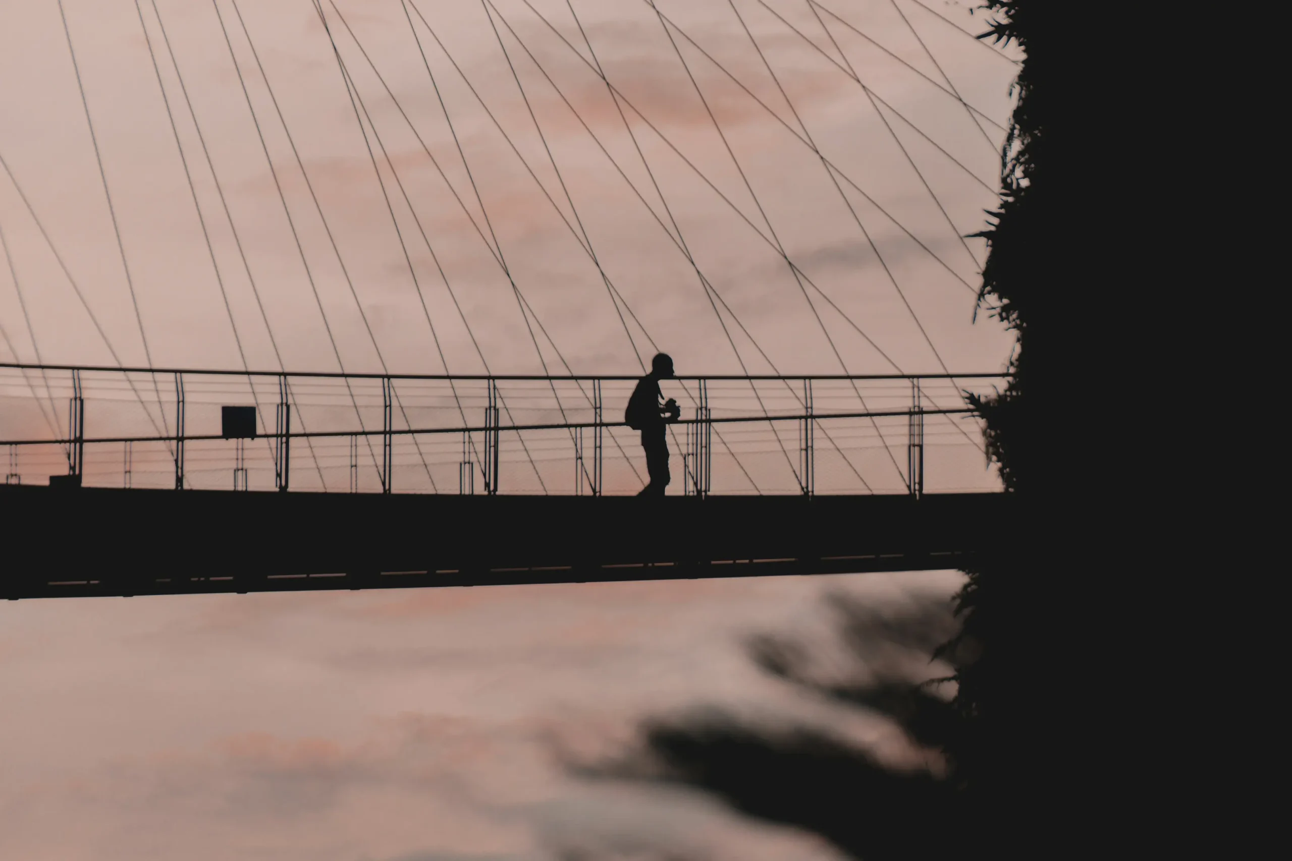 A lone figure is silhouetted against a soft, dusky sky while crossing a modern suspension bridge. The composition uses a narrow field of view, framing the person between dark, blurred foliage and the geometric lines of the bridge's cables.