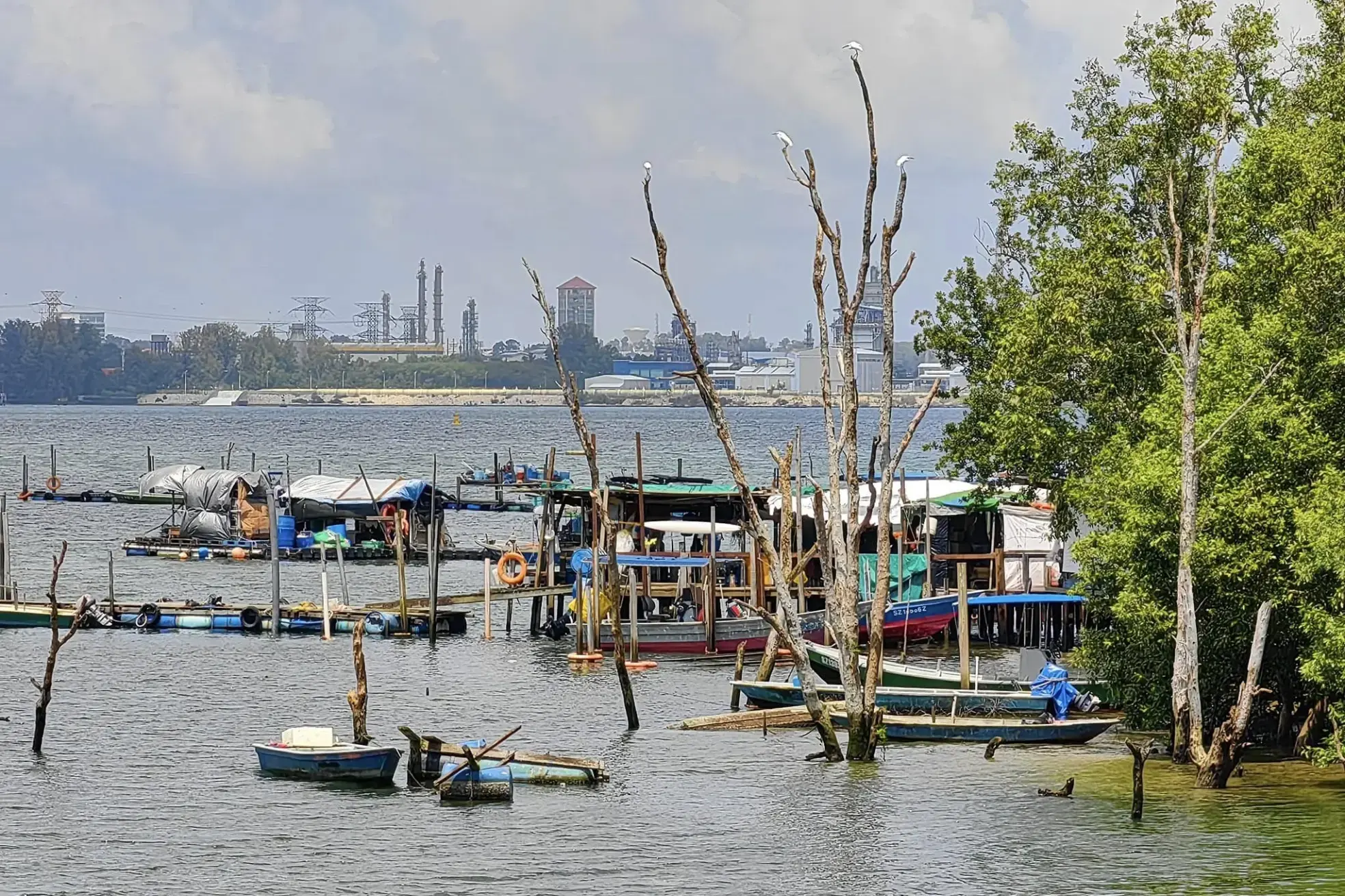 Small wooden boats and makeshift floating structures are scattered across a calm waterway near a lush, green shoreline. In the background, a stark industrial complex with tall chimneys and power lines contrasts with white birds perched on bare, skeletal tree branches in the foreground.