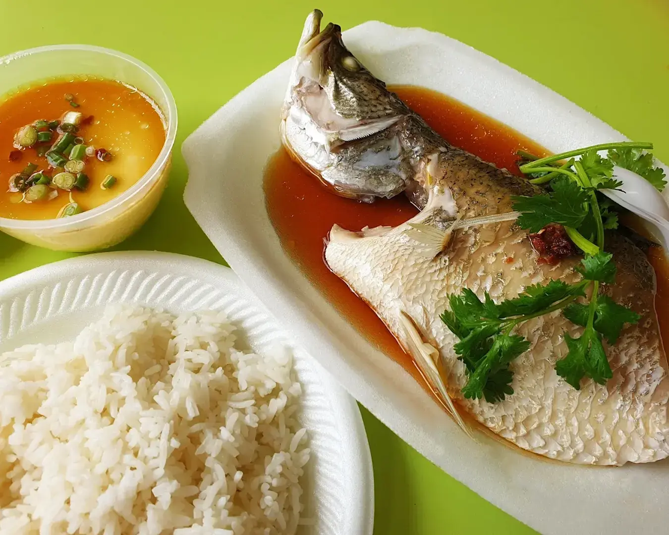 Steamed fish with cilantro on a white plate, served with a side of white rice and a small bowl of golden sauce garnished with chopped scallions and chili.