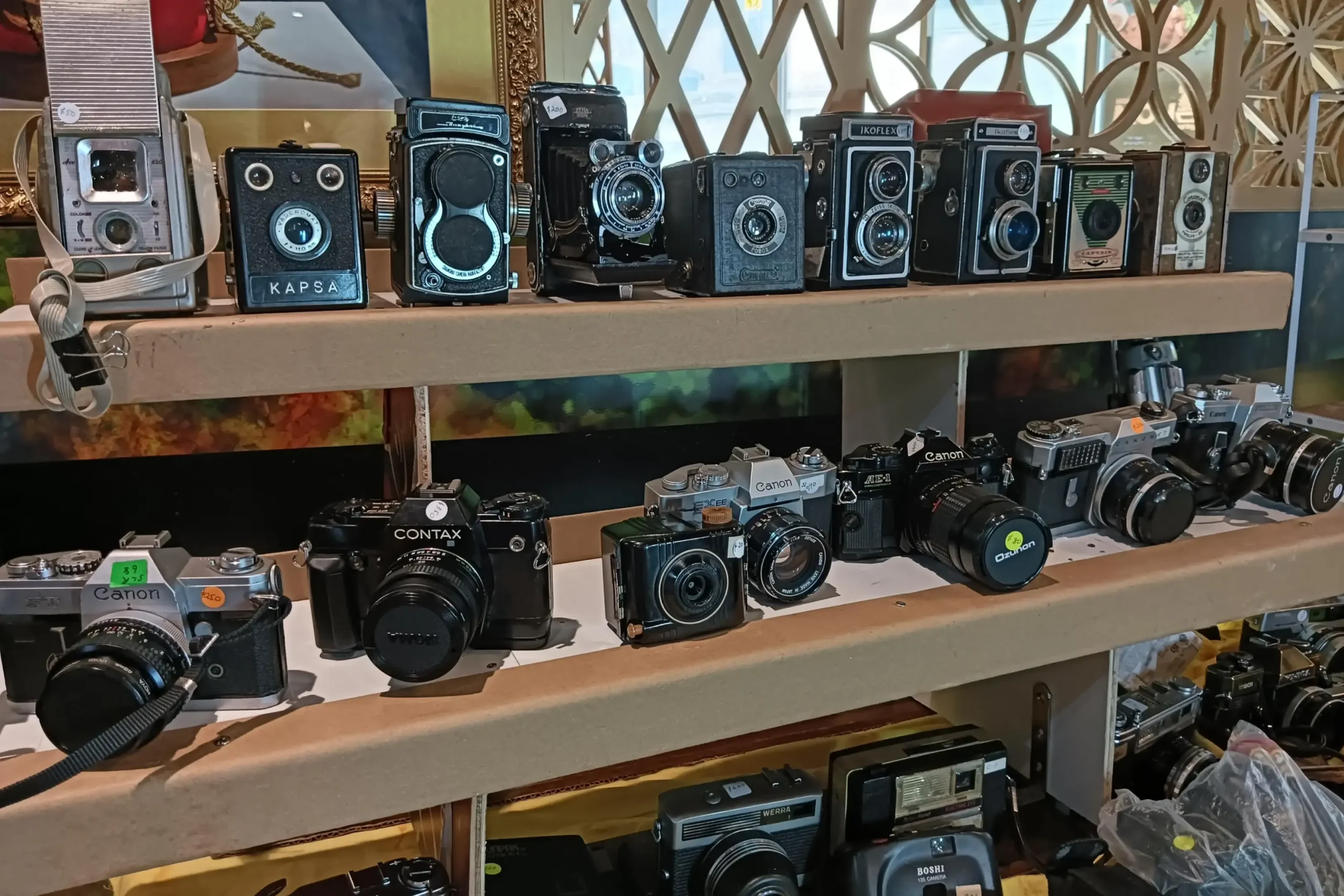 A collection of vintage film cameras, including box cameras and SLRs like Canon and Contax, is neatly arranged on wooden shelves at a fair. The display showcases a variety of classic designs and mechanical details, with some units featuring price tags for potential buyers.