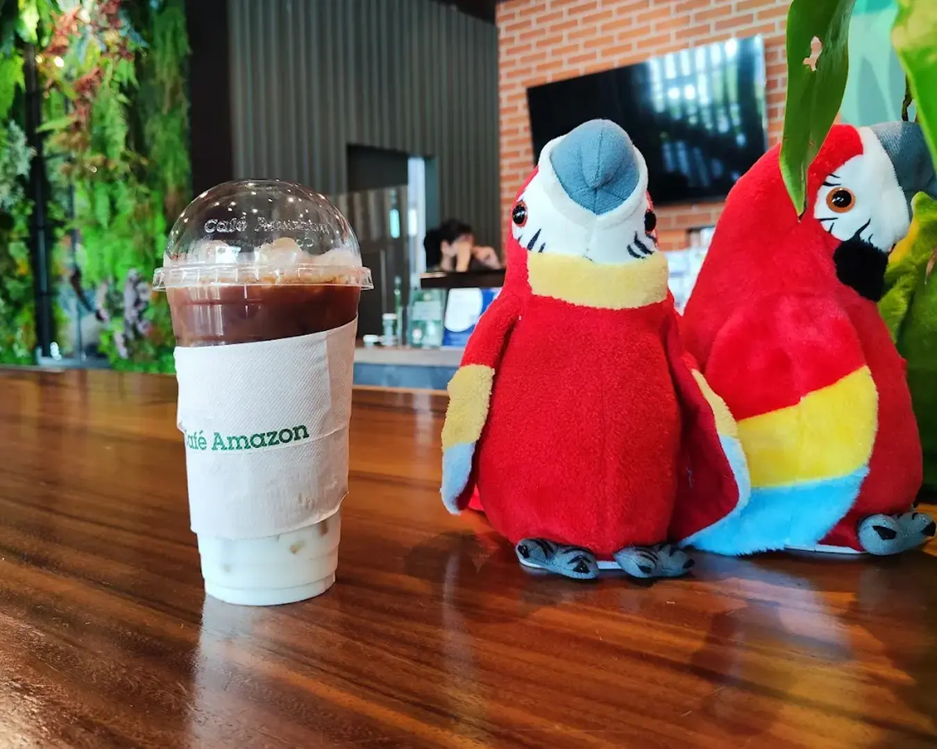 Iced drink with Café Amazon logo beside two plush red parrots on a wooden table. A lush green wall and a brick wall are seen in the background.