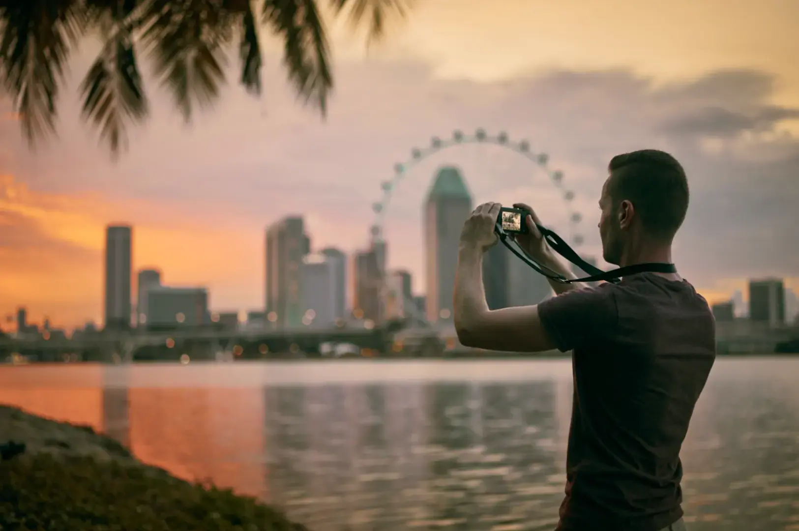 A person photographs a city skyline with a Ferris wheel during a vibrant sunset, with palm fronds framing the scene.