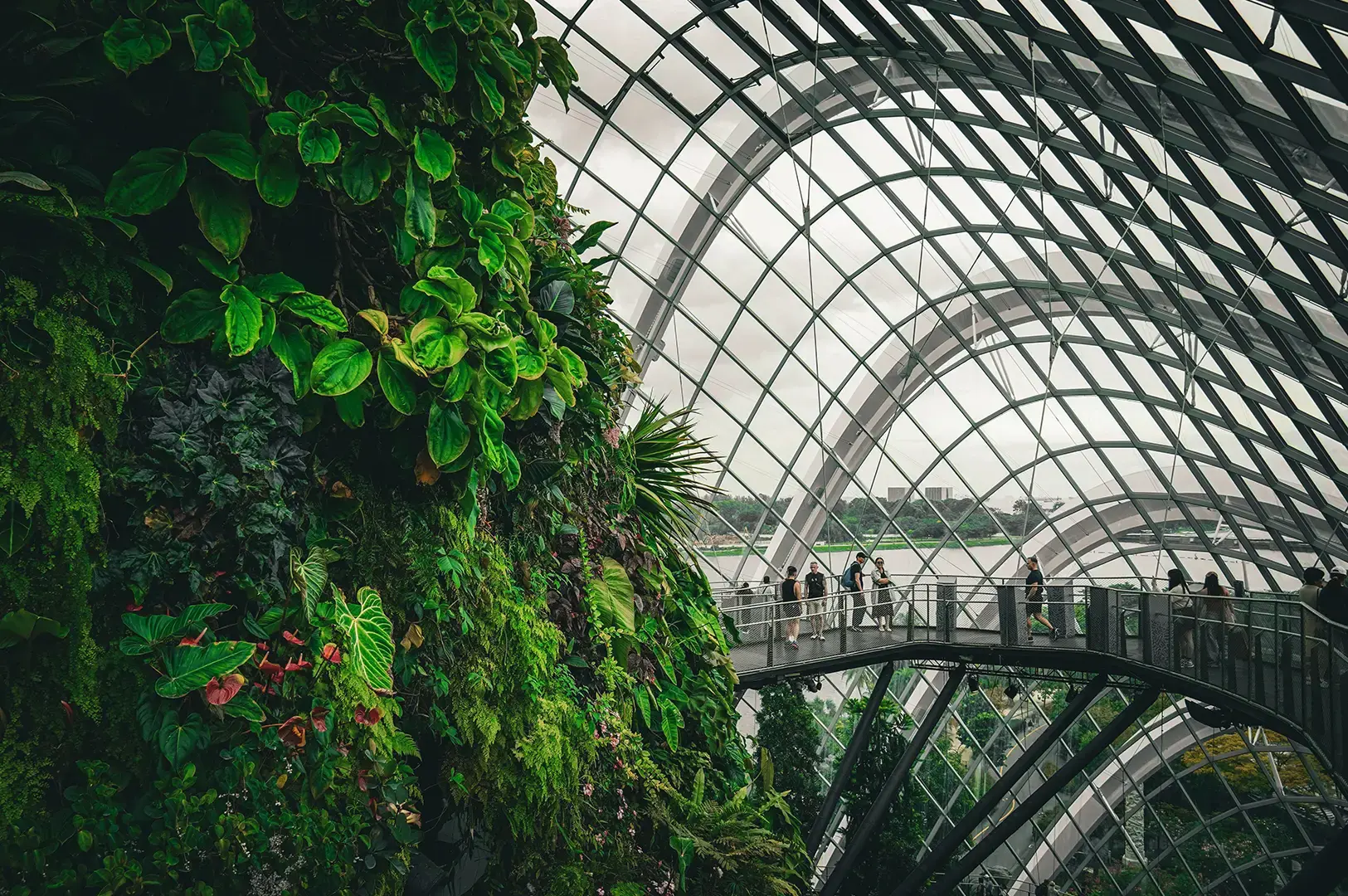 The Cloud Forest conservatory interior with a lush vertical garden and elevated walkways.