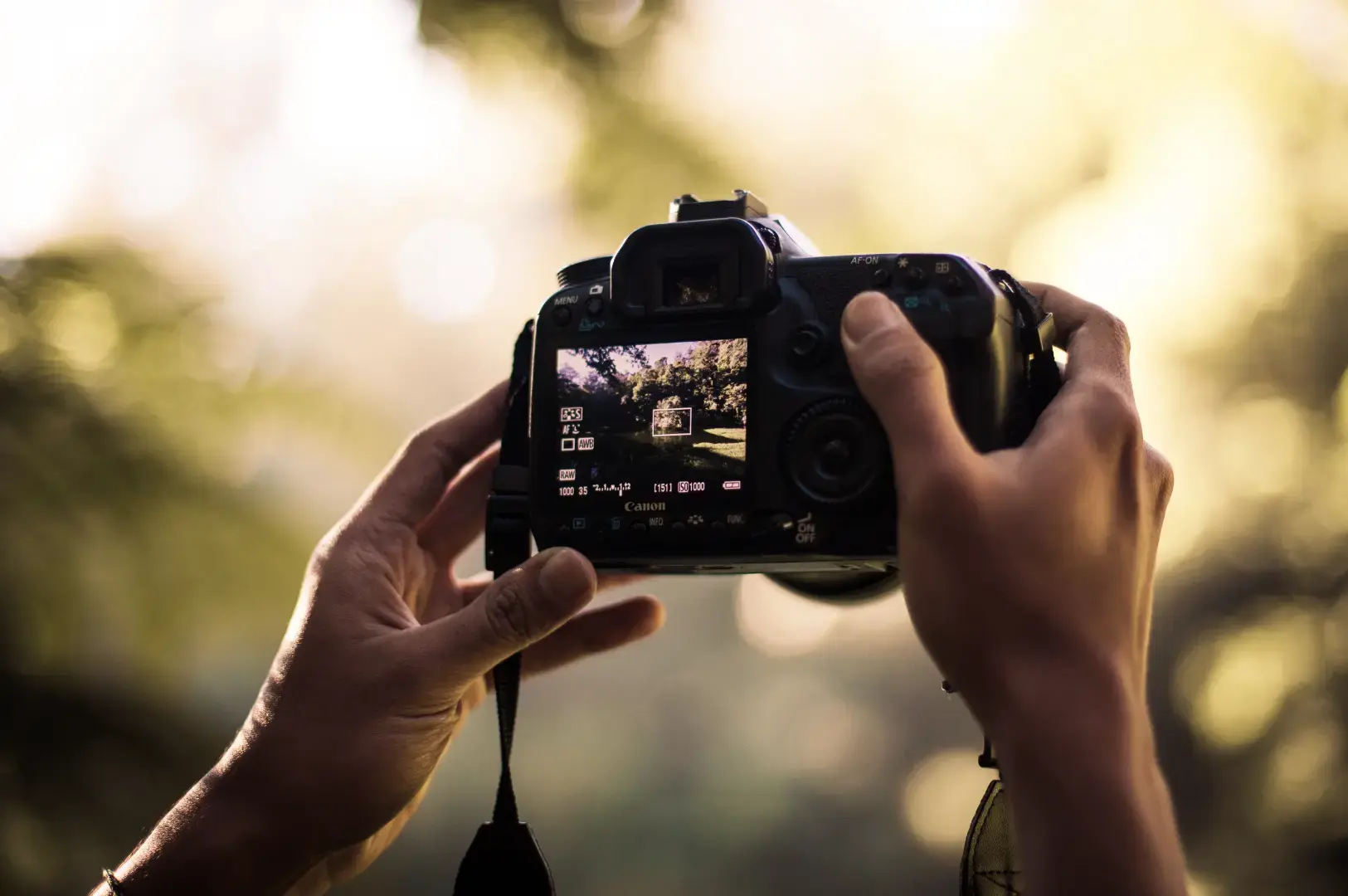 Hands holding a DSLR camera up to eye level, with the camera’s screen showing a landscape scene and the background softly blurred with green foliage and warm sunlight.