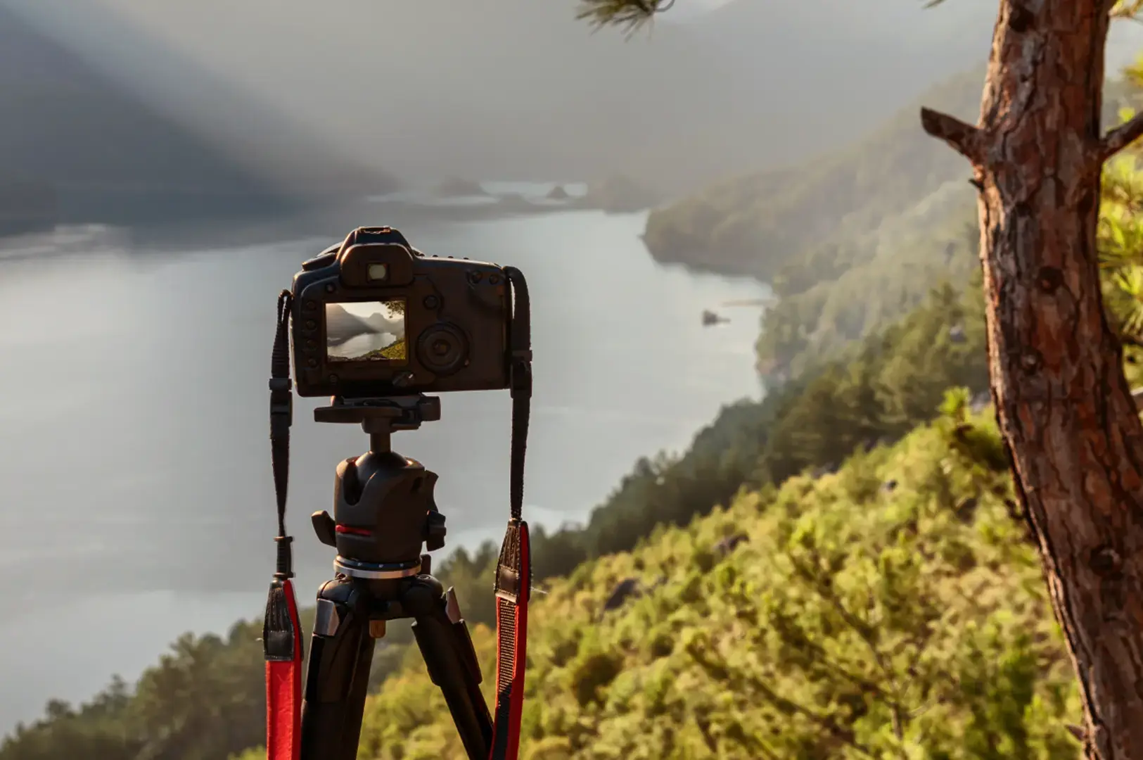 A tripod-mounted camera with a small monitor stands on a mountainside, framing a wide river valley and distant peaks under soft daylight, with pine branches in the foreground.