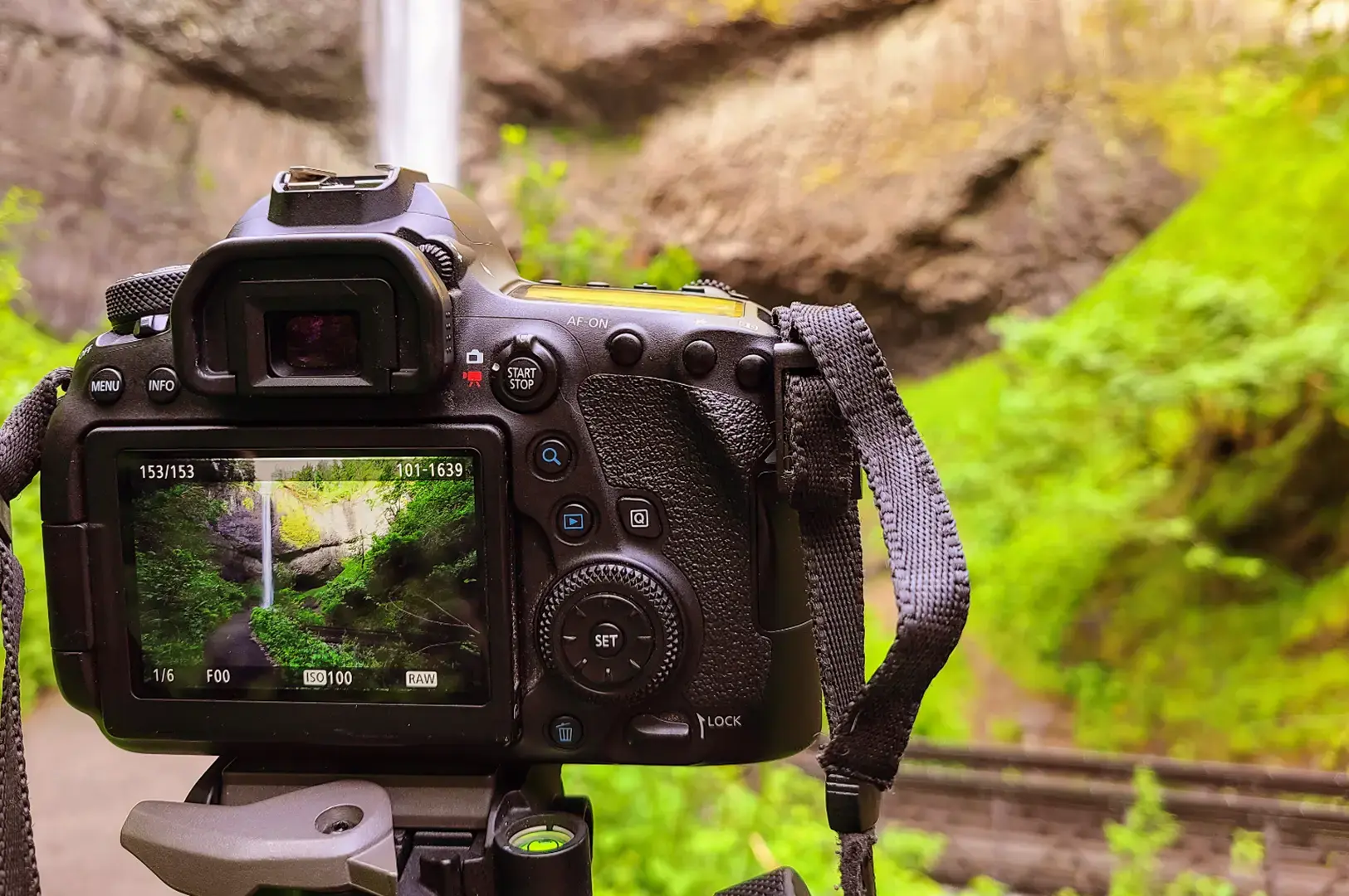 A DSLR camera on a tripod outdoors, showing a live view on its screen while photographing a bright green garden hillside and rocky background.